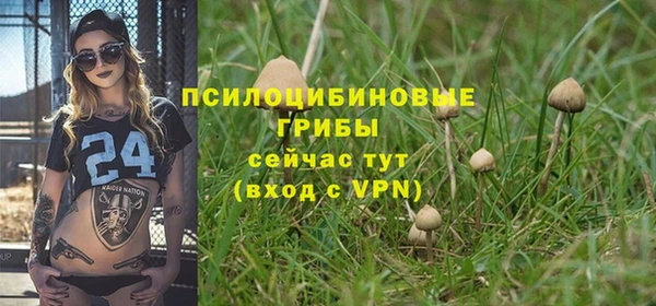 прущие крисы Балабаново