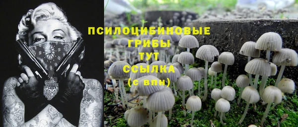 спиды Балахна